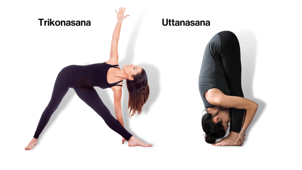 Power Yoga Übungen