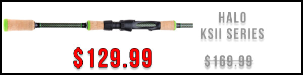 Rods Under $100