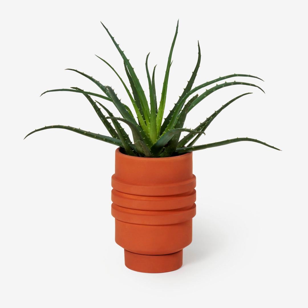 Strata Plant Vessel - Terracotta