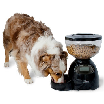 dog cat feeder programmable 10 pounds food dispenser portion control