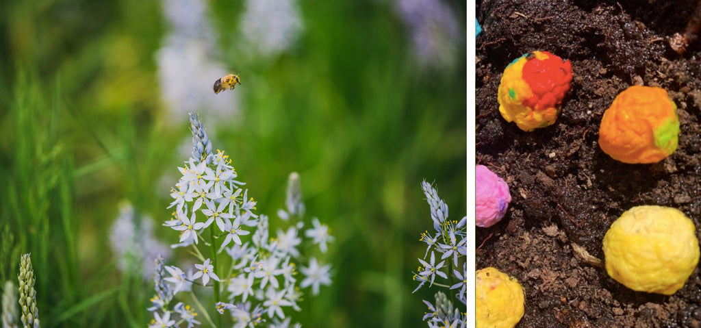 wildflower seed bombs, pollinators, bee jewellery, ethical jewellery, sustainable brands uk