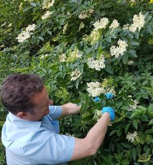 Clive Darby of Clive's Wines Foraging