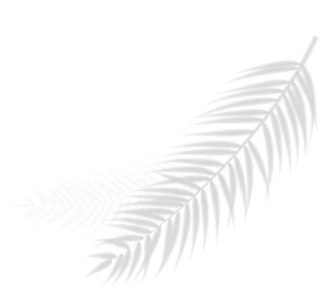 feather