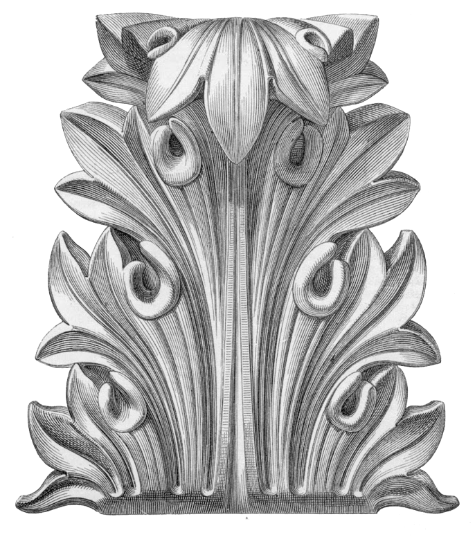 Acanthus Leaves for Detailing Wood Furniture and Cabinetry
