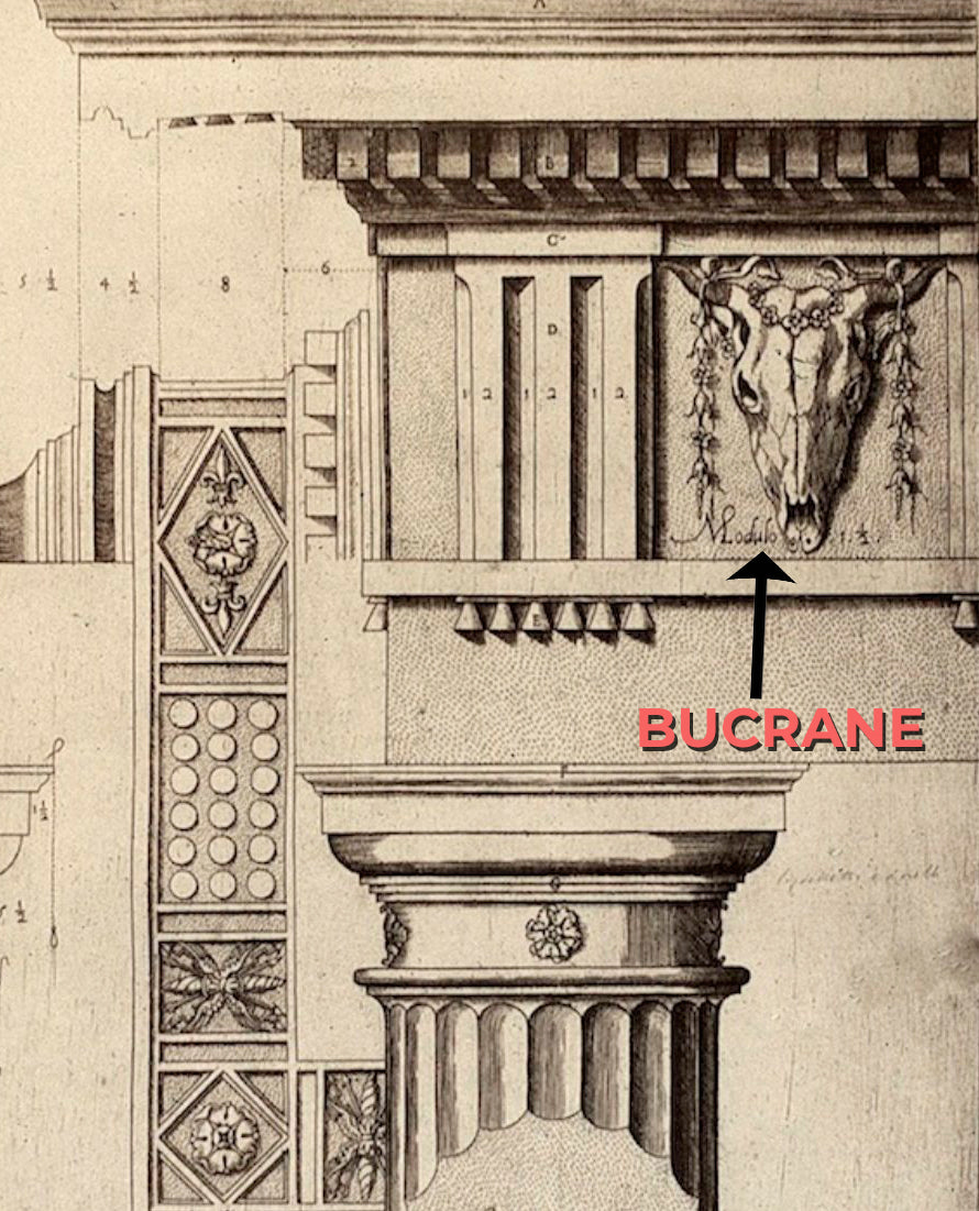 Brockwell Incorporated's Glossary explaining the classical Bucrane detail