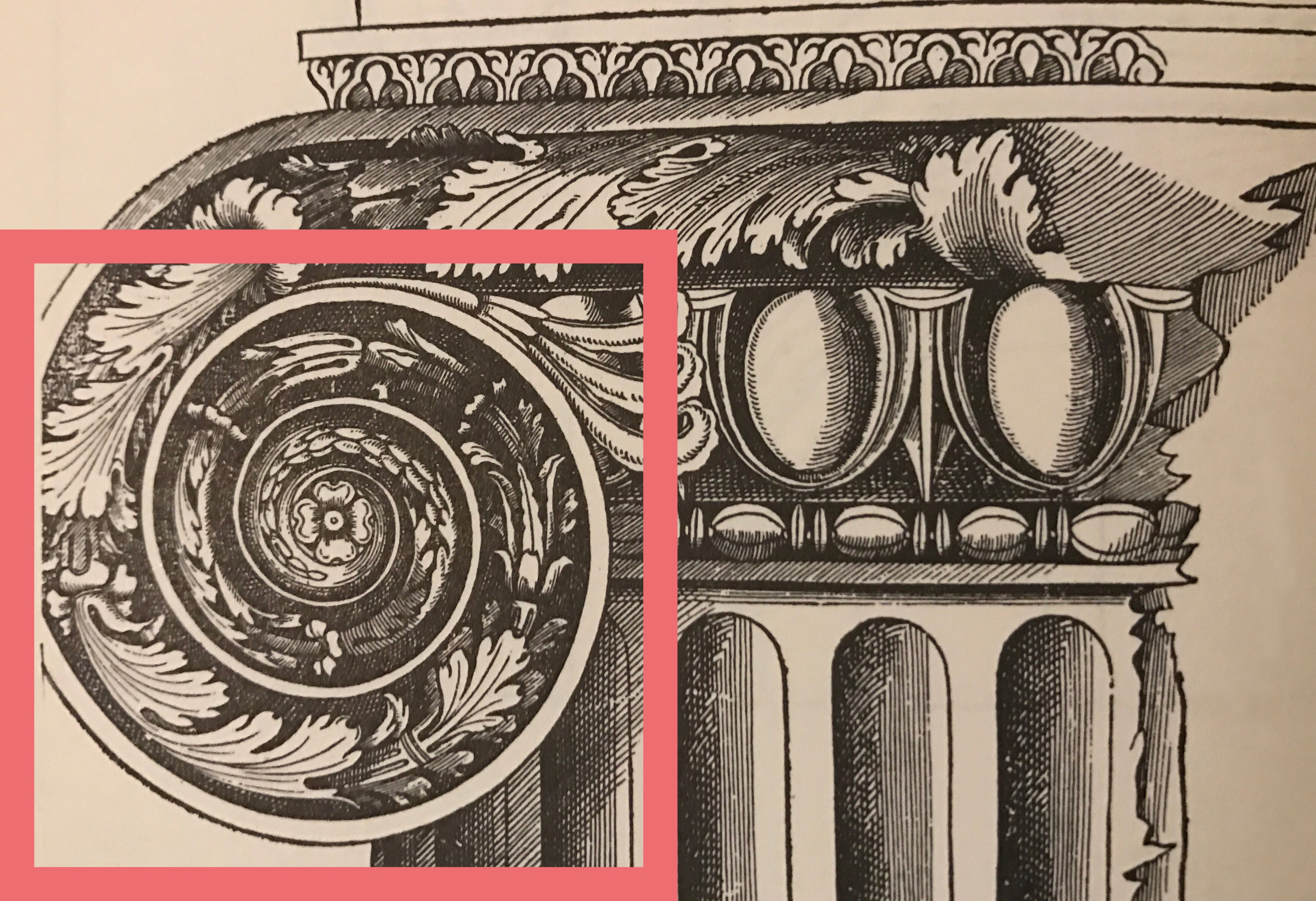 eye of a volute or scroll illustrated sketch for brockwell incorporated's glossary of classical architectural terms