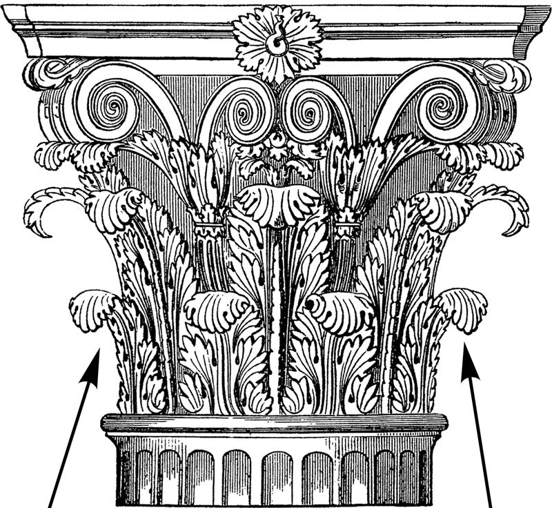 Acanthus Leaf Detailing is Prevalent in Classical Design, Especially on Roman Corinthian Capitals