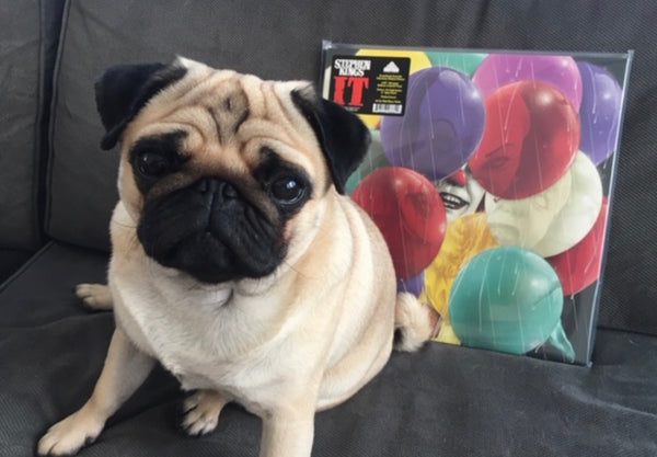 Record Collector Of The Month Enjoy The Ride Records Record Collector Of The Month Enjoy The Ride Records