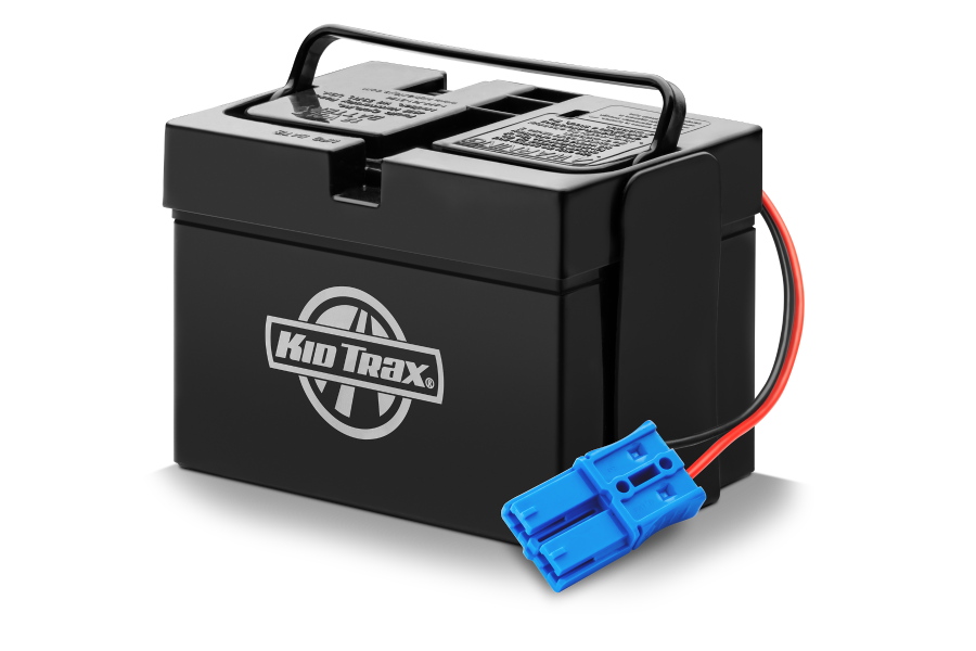 weight of 12 volt car battery