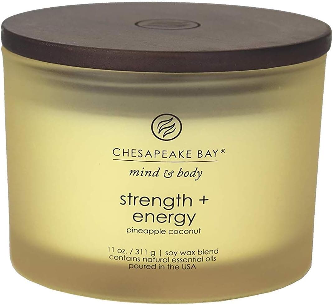  Chesapeake Bay Candle Love + Passion Scented Candle 