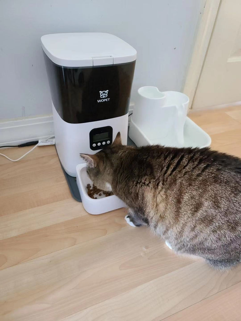 wopet automatic pet feeder