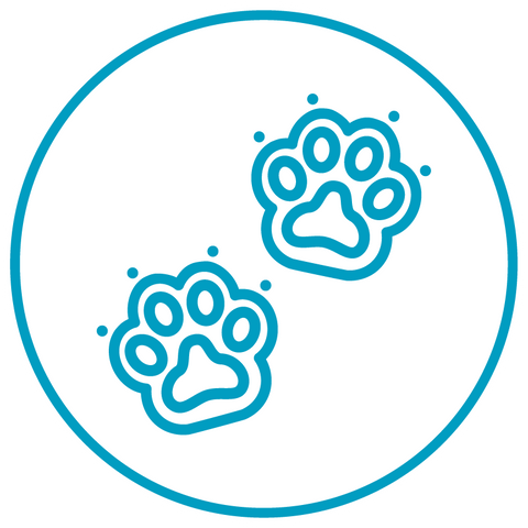 Allergy types icon: Pet allergy