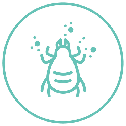 Allergy types icon: Dust mite allergy