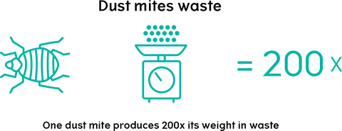 A dust mite produces up to 200 times its body weight in waste products
