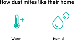 How dust mites like their home: warm and humid