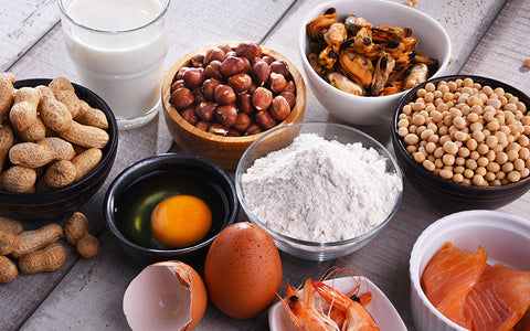 Glass of milk and bowls full of eggs, soya beans, peanuts, hazelnut, fish, seafood and wheat flour – all common causes of food allergy