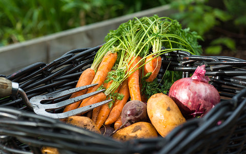 Potatoes, onions, carrots – this basket of fresh vegetables could make your mouth tingle if you have a pollen allergy