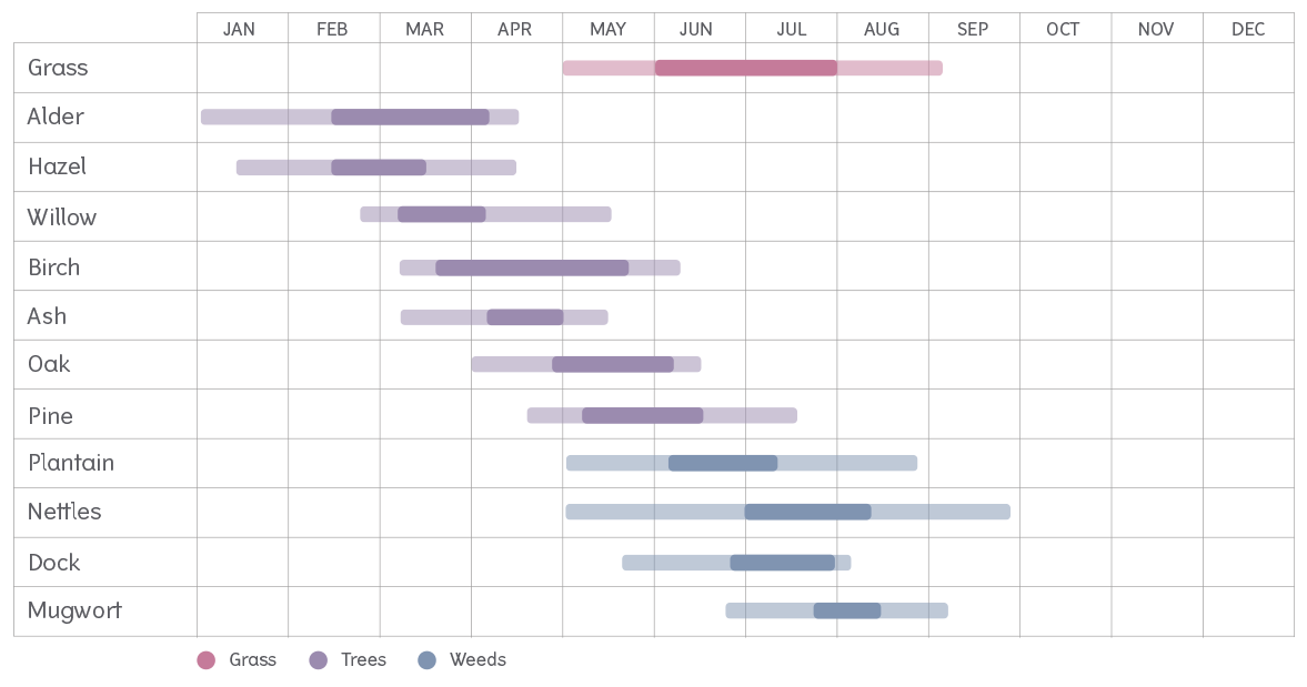 Pollen calendar for the UK