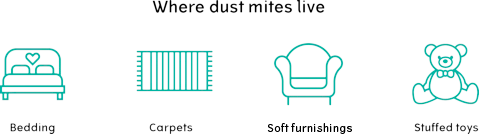 Dust mites live in places such as bedding, carpets, soft furnishings, stuffed toys.