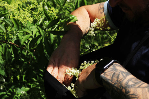 Opening a bag of elderflower.