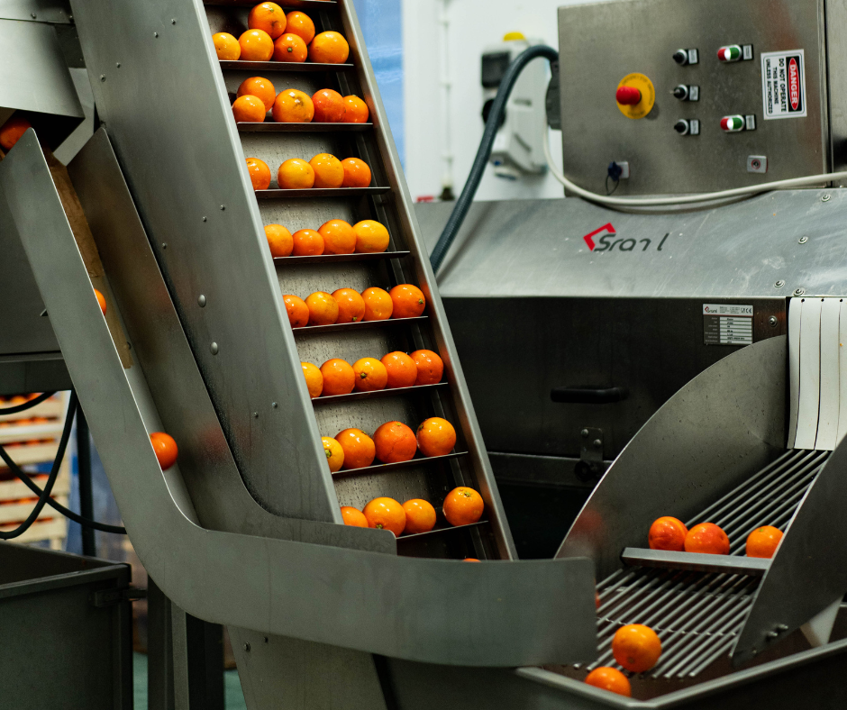 Laudani Farms Blood Oranges in Square Root's East London soda factory