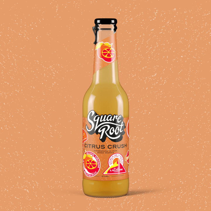 Ginger Beer - Square Root Soda