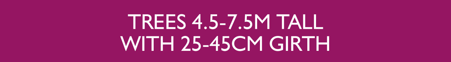 Kits With Anchors Below Ground with Plati-Mat® for trees between 4.5 - 7.5m