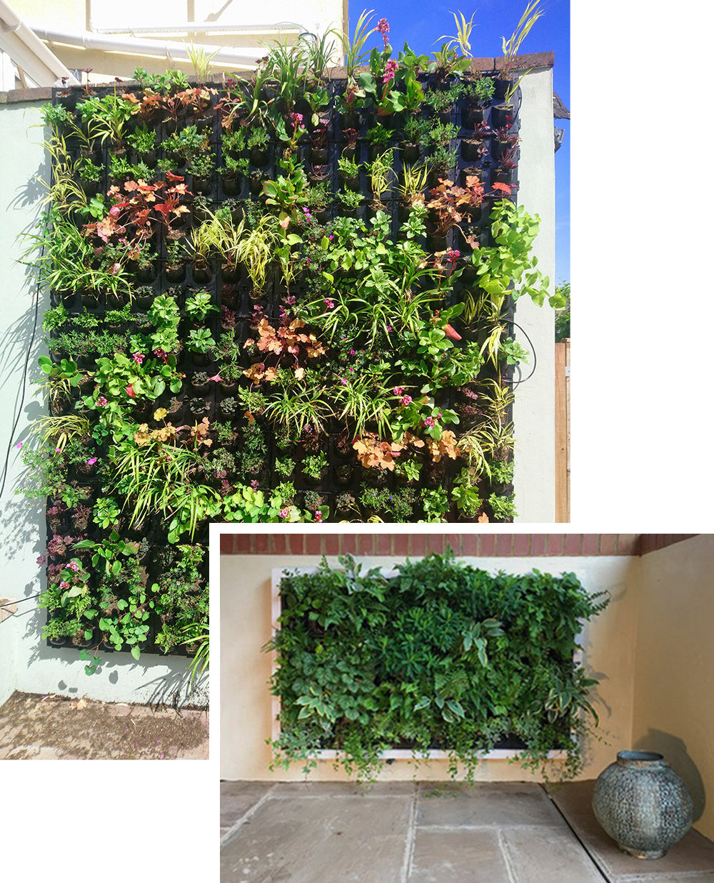 Outdoor or Indoor Living Wall Positions