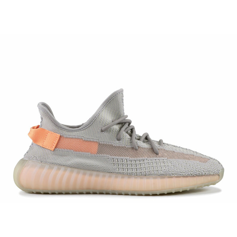 adidas yeezy boost 350 v2 true form