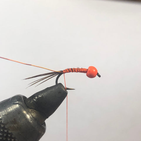 Orange Crush Steelhead Nymph | Tying Tutorial | Nomad Anglers