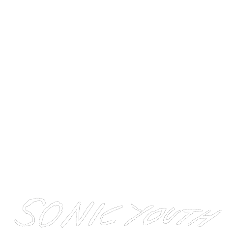 sonic youth tour poster