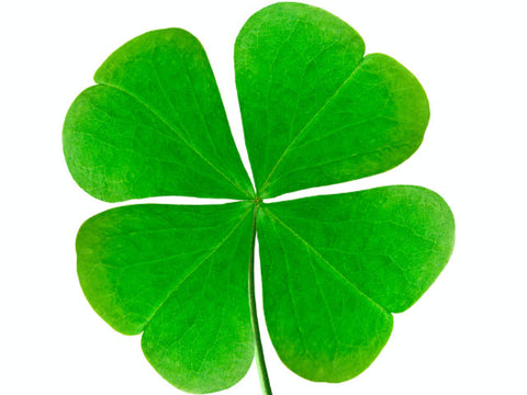 Clovers, Four leaf Clovers, Lucky, Lucky Jewelry, Good Luck, Good Luck Charms