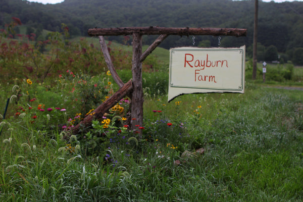 Rayburn Farms - one of our seed growers in Western North Carolina