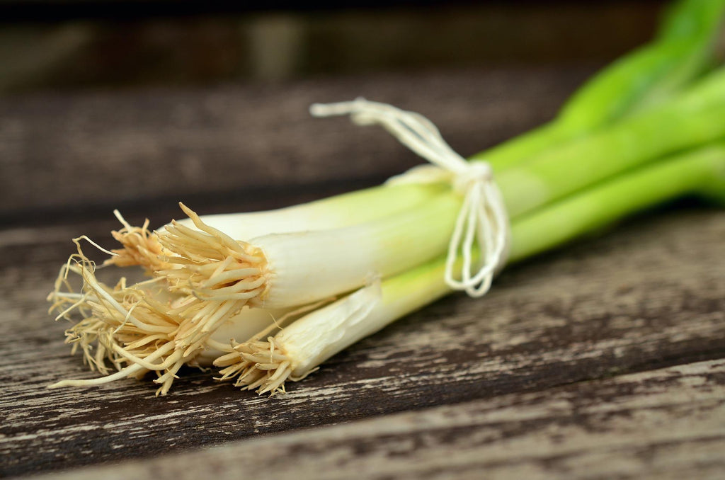 harvested bunching onions