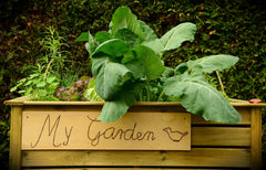 Pretty wood raised bed