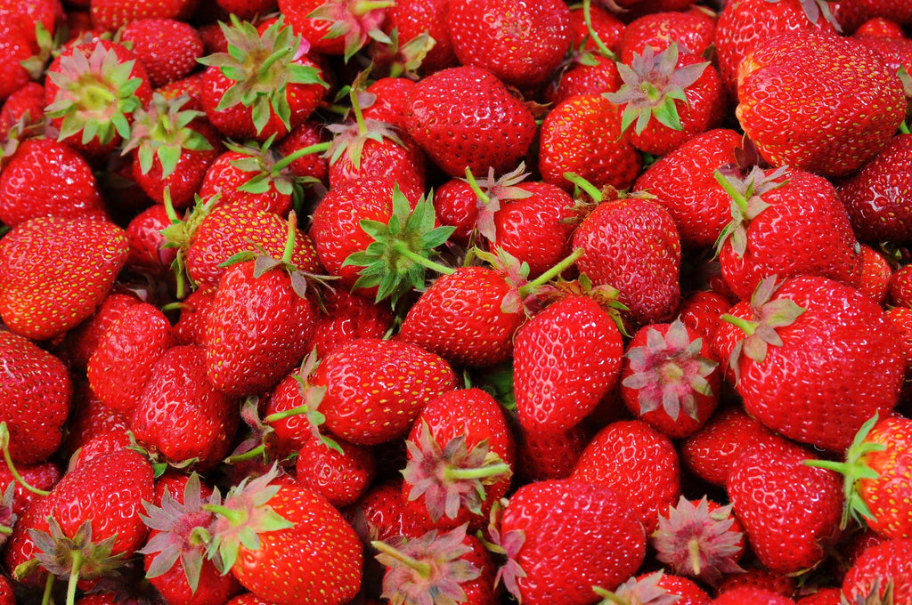 Day Neutral Strawberry Varietals