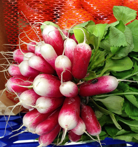 French Breakfast Radishes