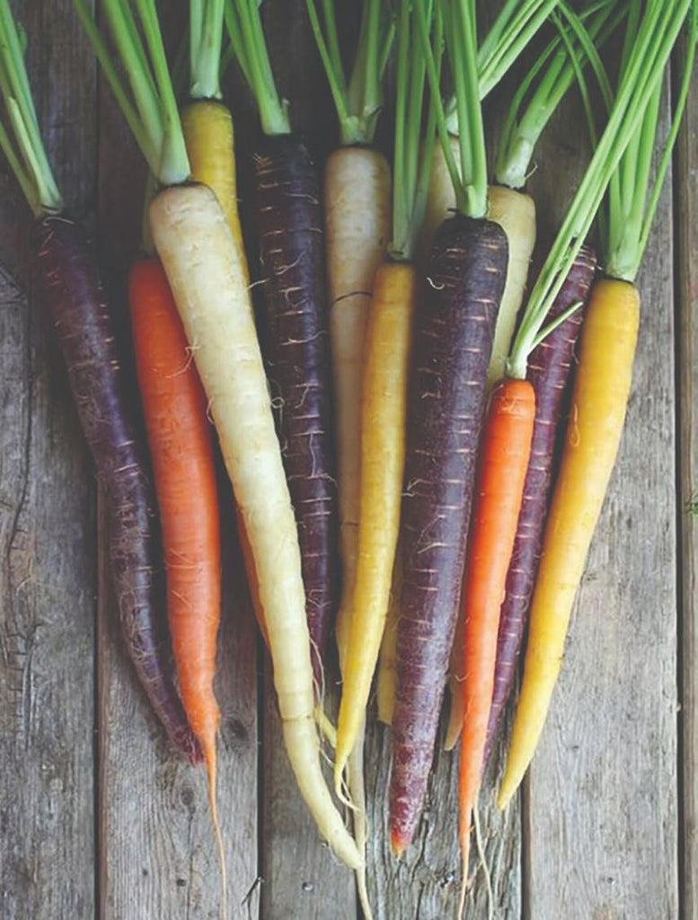 Rainbow carrot blend