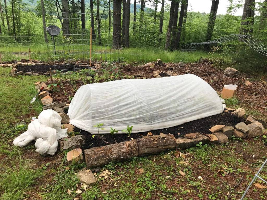 row cover protecting plants from cold weather