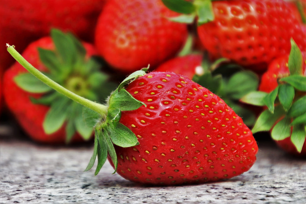 Ever-Bearing Strawberry Varietals