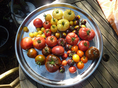 Heirloom Tomatoes offer so much diversity