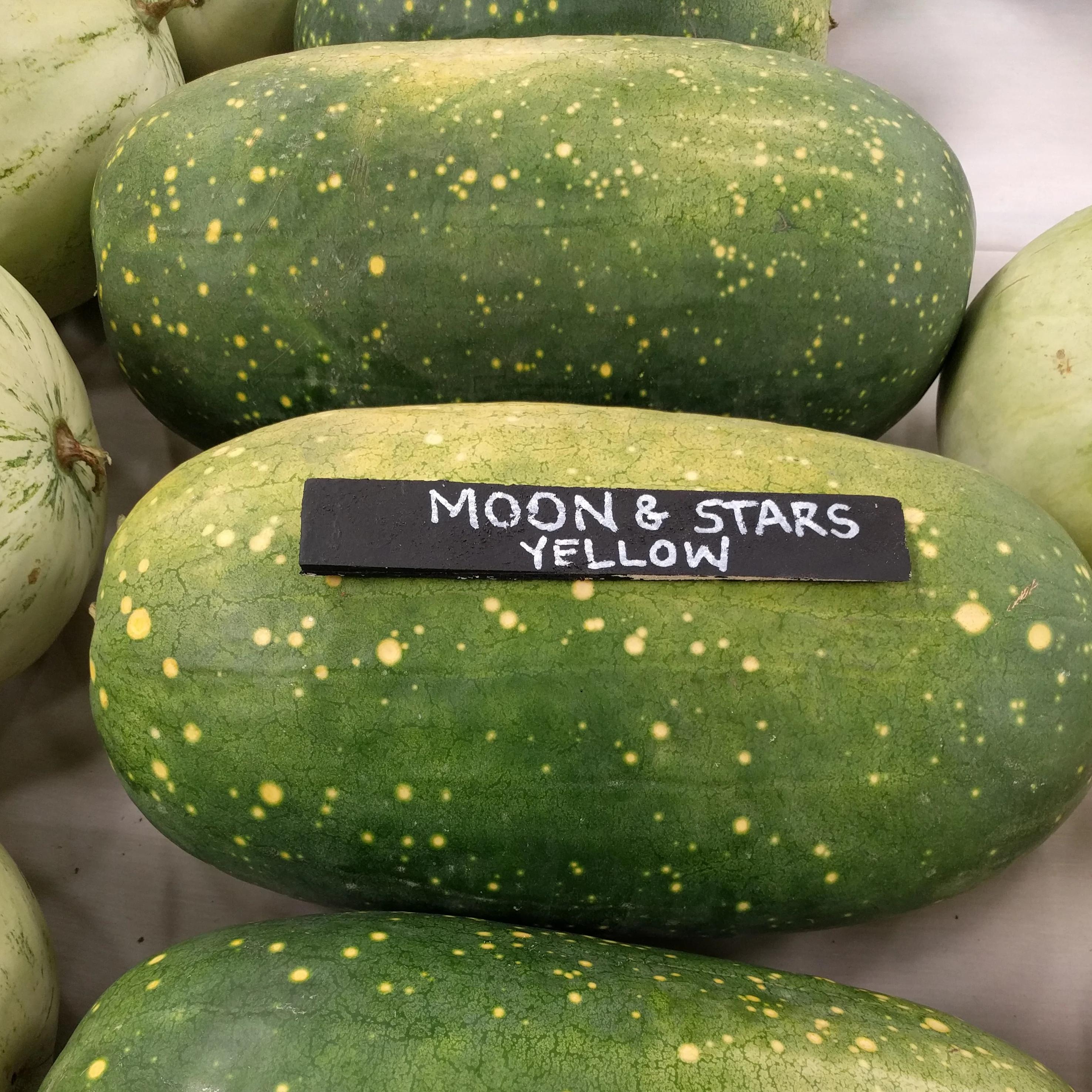 Watermelon Seeds Moon And Stars Yellow Sow True Seed