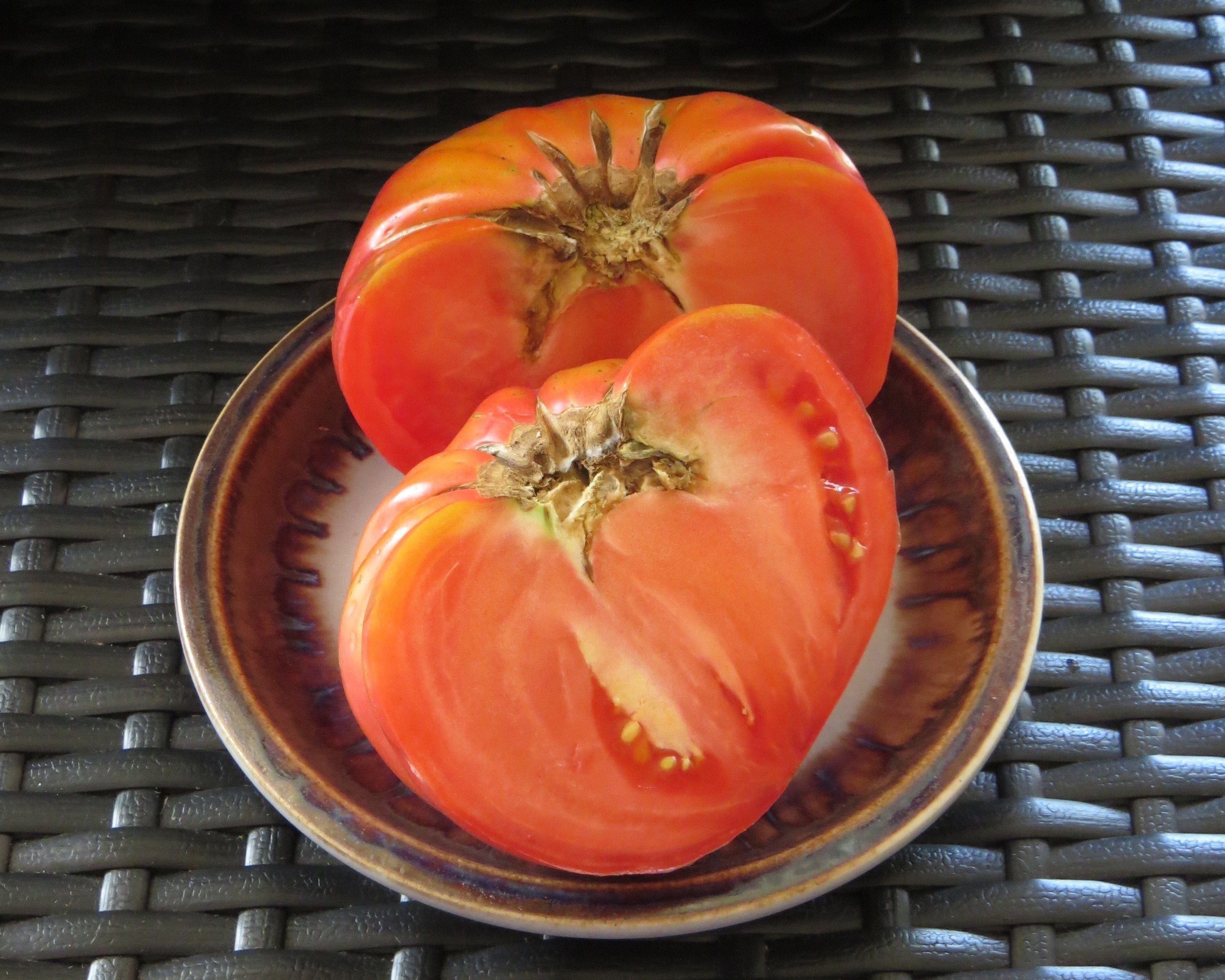 Slicing Tomato Seeds Jeff Davis Sow True Seed