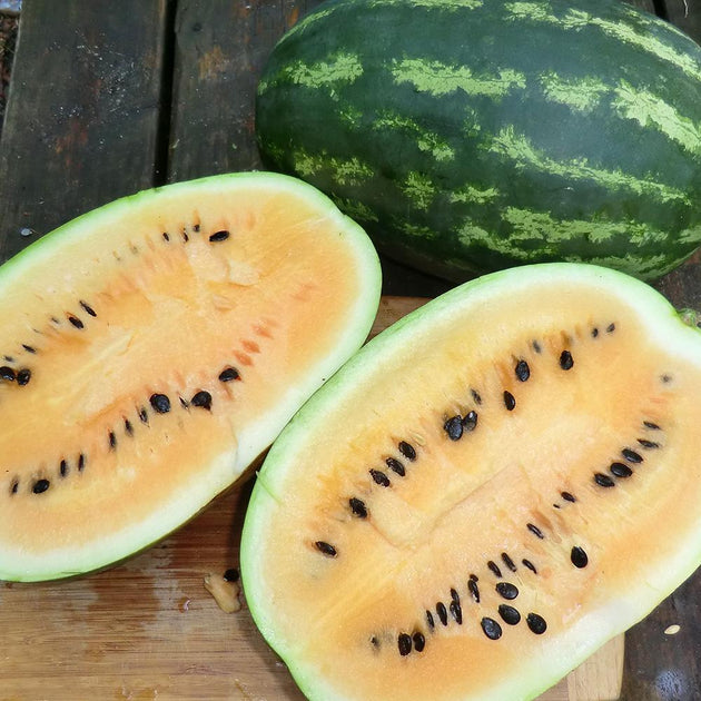 mtn watermelon