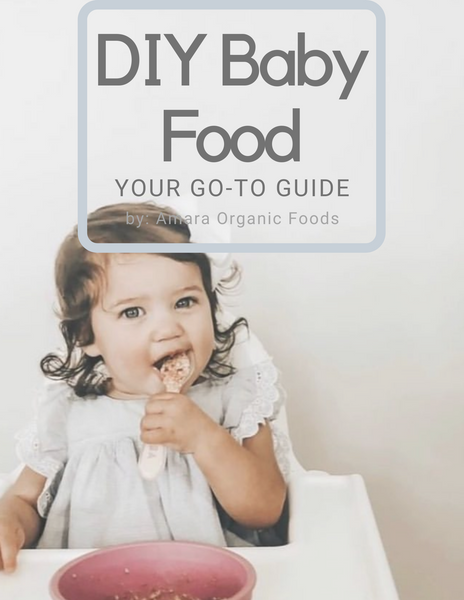 BABY FOOD MEAL PREP  Homemade Purees + Free Downloadable Guide