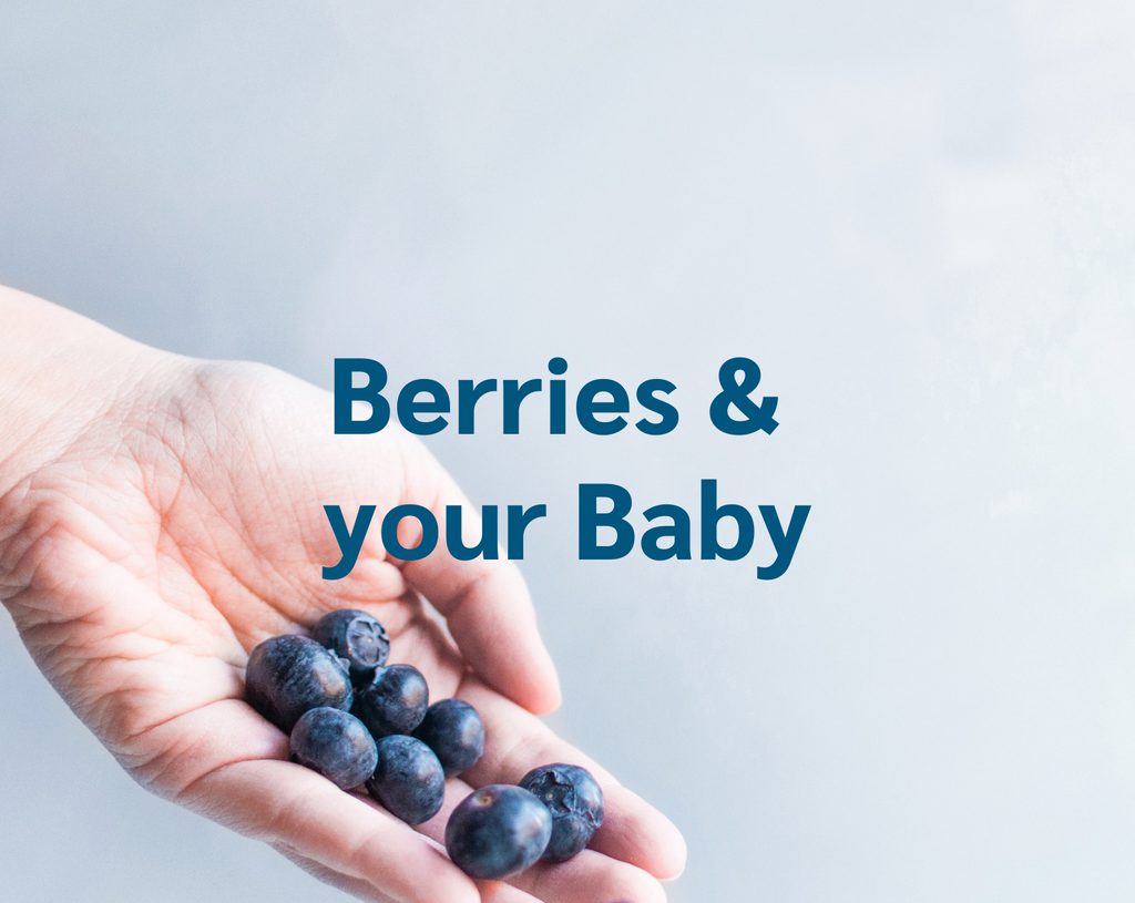 serving berries to baby