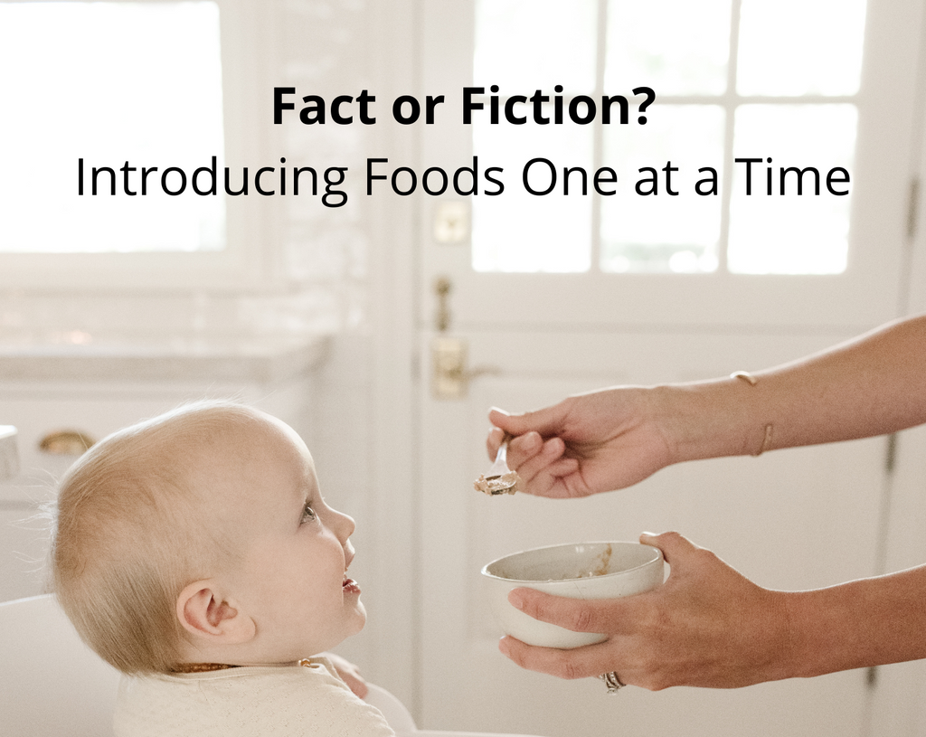 single ingredient baby food