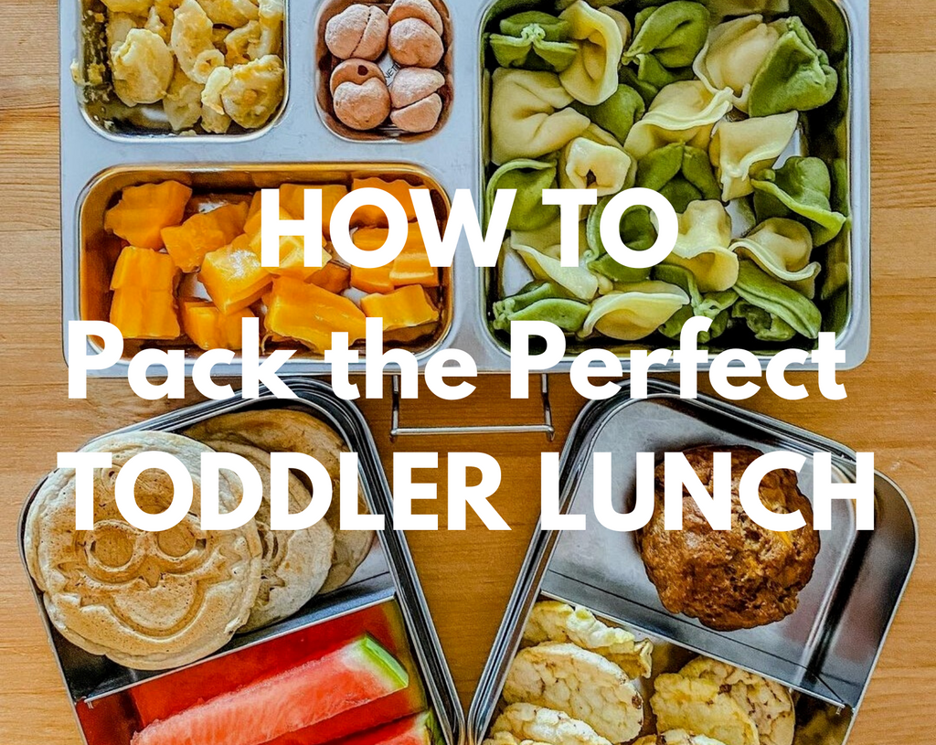 Easy Toddler Lunch Ideas for Daycare