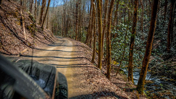 Driving down Charlie's Creek Road