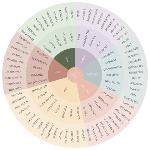 Feelings Wheel